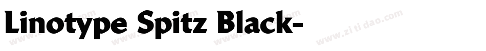 Linotype Spitz Black字体转换
